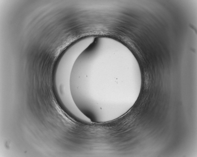 X0000102040677200808151407