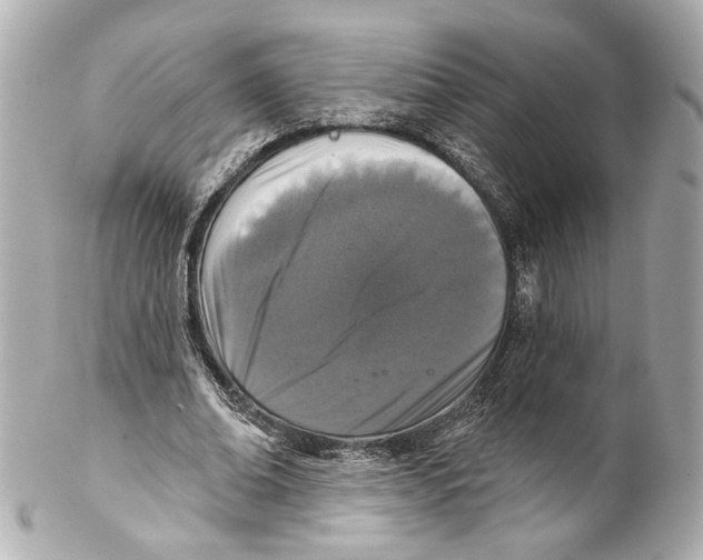 X0000102040678200808151407