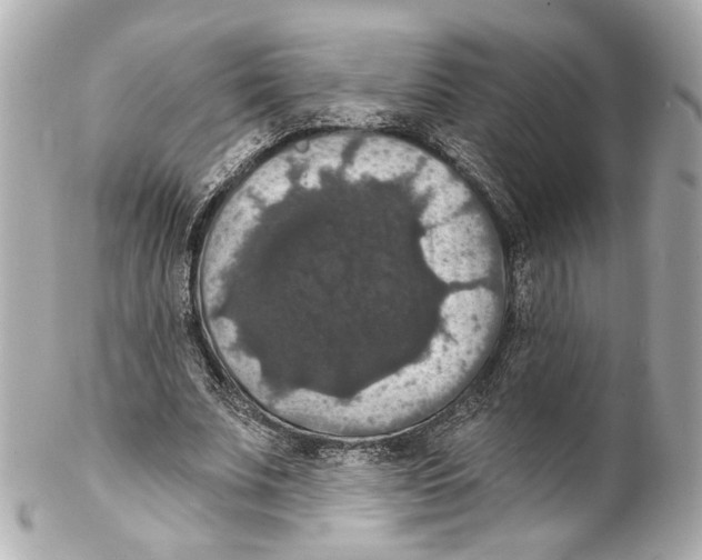 X0000102040679200808151407