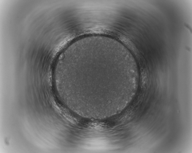 X0000102040680200808151407