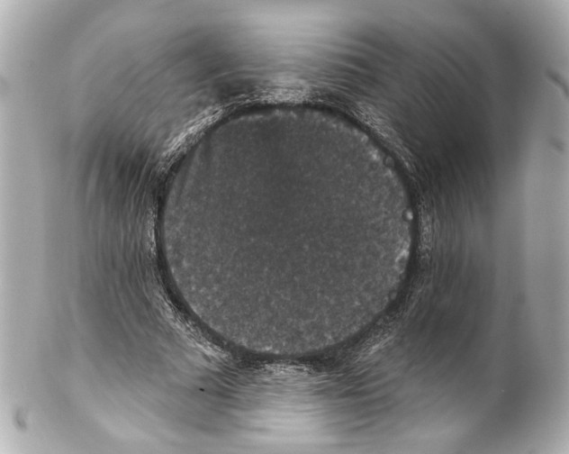 X0000102040681200808151407