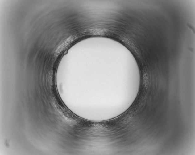 X0000102040682200808151407