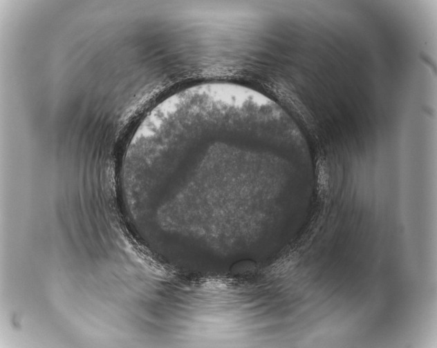 X0000102040684200808151407