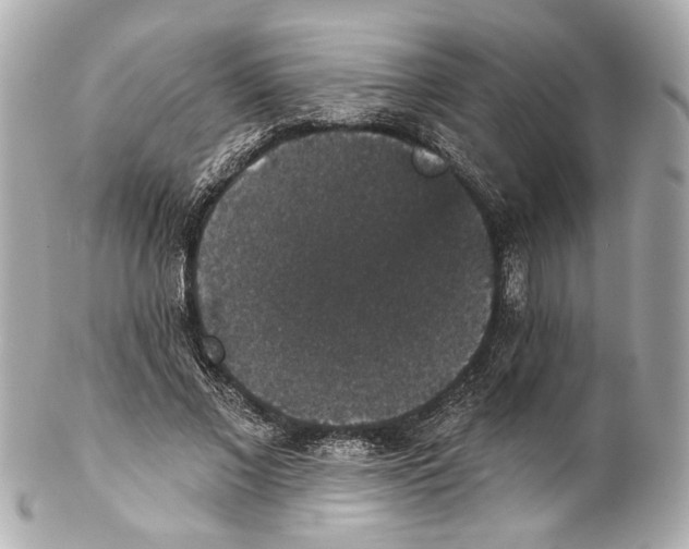 X0000102040685200808151407