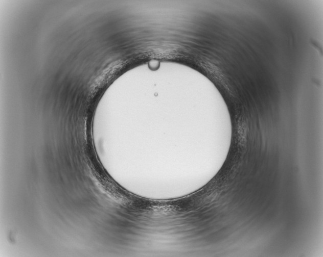 X0000102040686200808151407