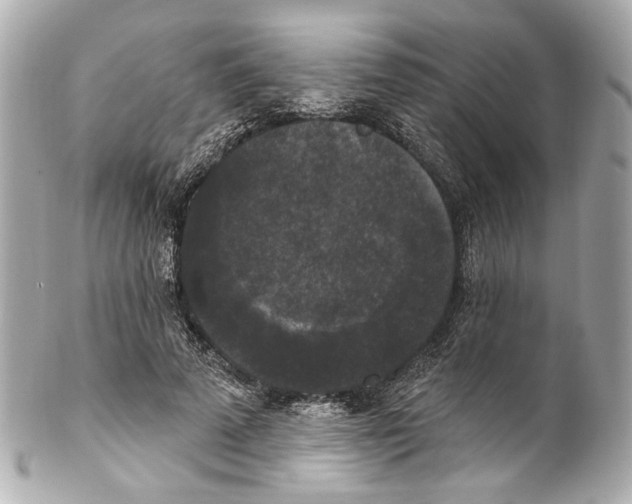 X0000102040689200808151407