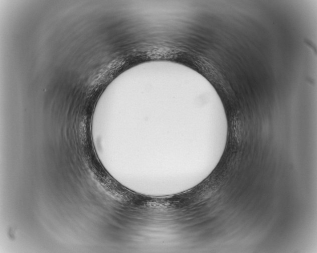 X0000102040690200808151407