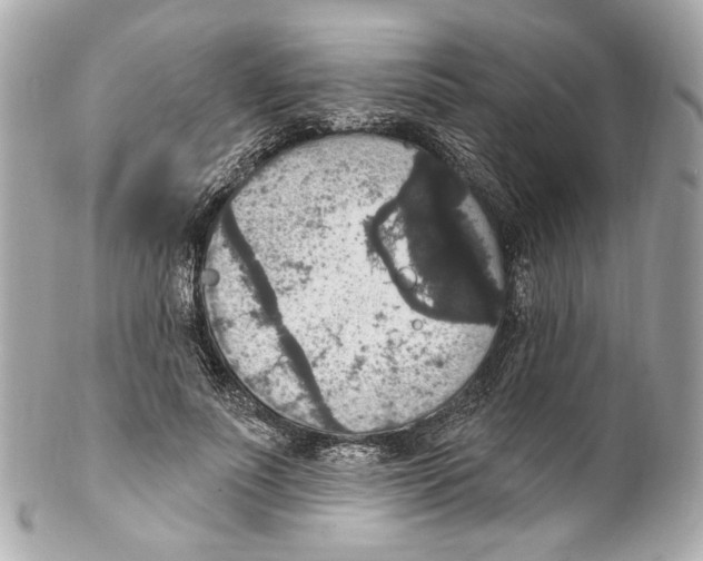 X0000102040691200808151407