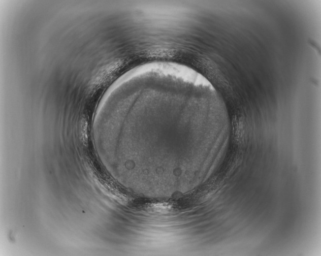 X0000102040692200808151407