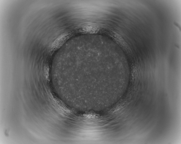 X0000102040693200808151407