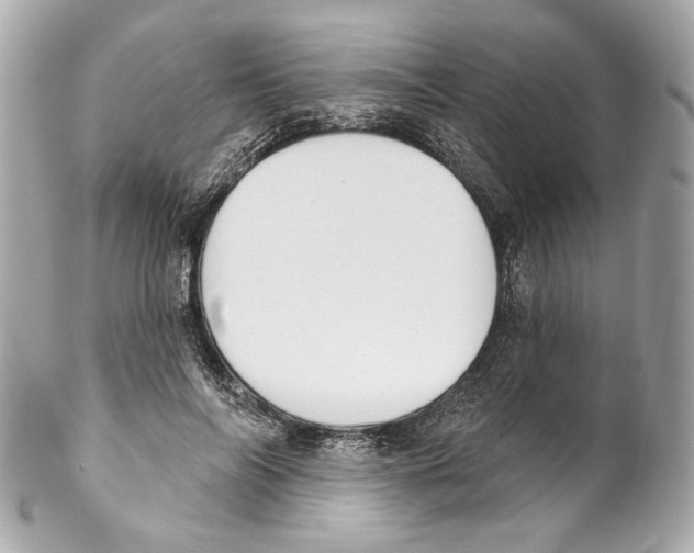 X0000102040694200808151407
