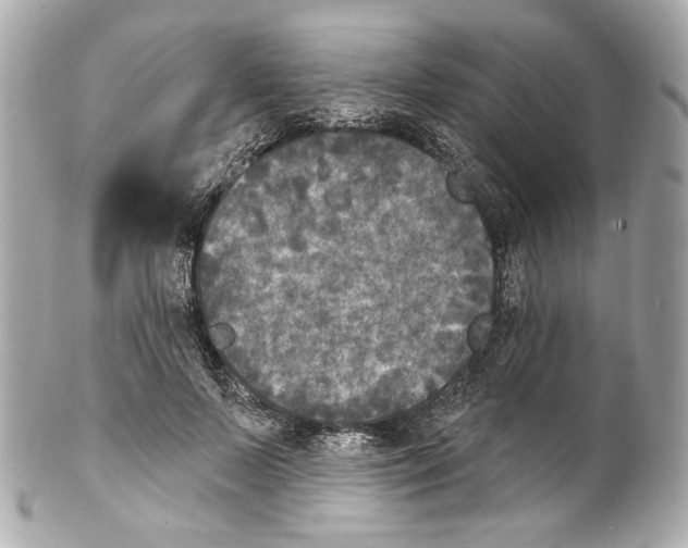 X0000102040695200808151407