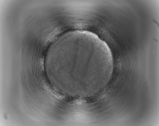 X0000102040696200808151407
