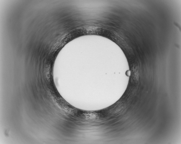X0000102040698200808151407