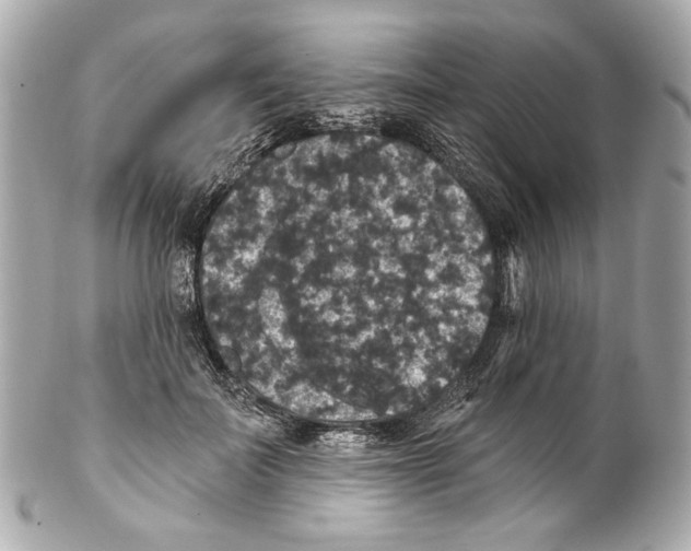 X0000102040699200808151407