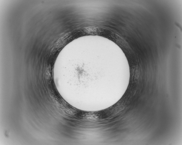 X0000102040702200808151407