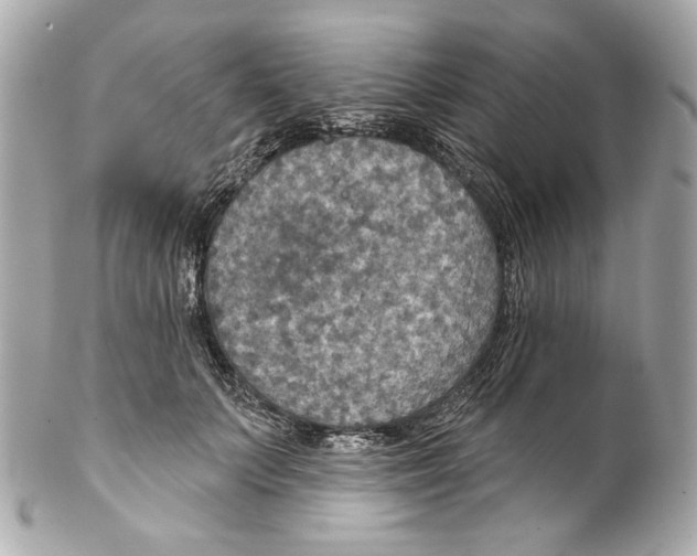 X0000102040703200808151407