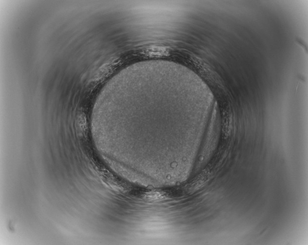 X0000102040704200808151407