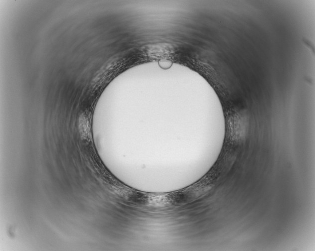 X0000102040705200808151407