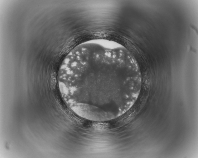 X0000102040707200808151407