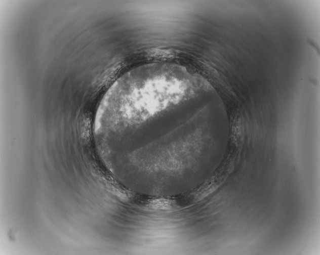 X0000102040708200808151407