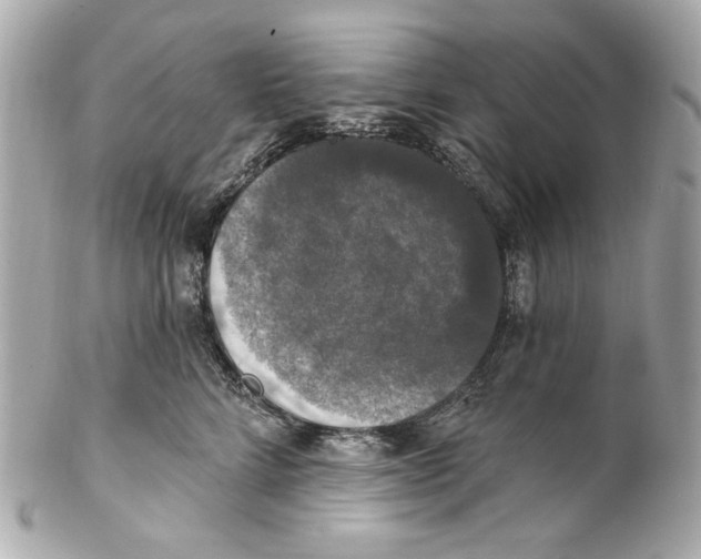 X0000102040712200808151407
