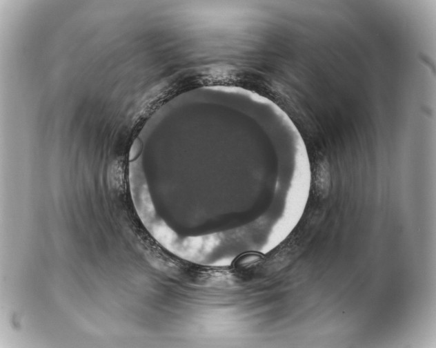 X0000102040715200808151407