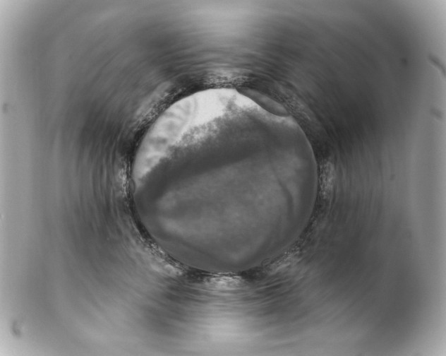 X0000102040716200808151407