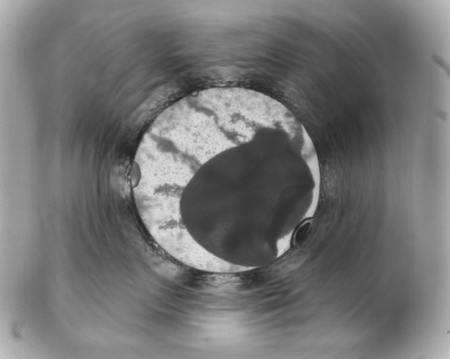 X0000102040719200808151407
