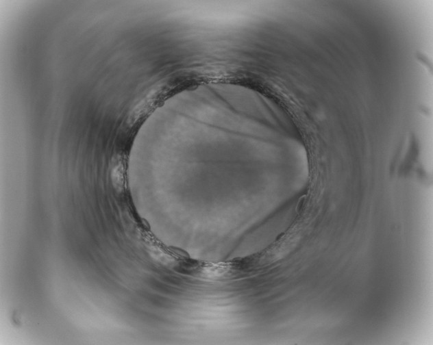 X0000102040720200808151407