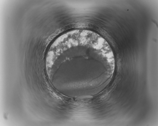 X0000102040721200808151406