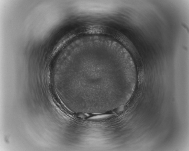 X0000102040722200808151406
