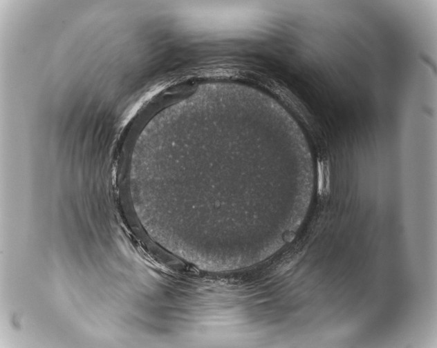 X0000102040723200808151406