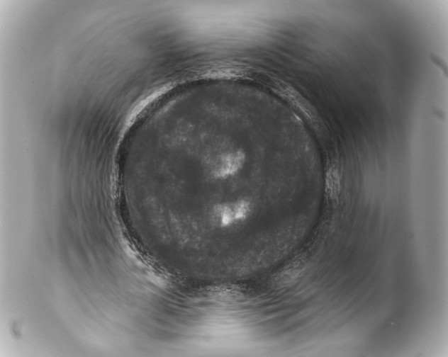 X0000102040724200808151406