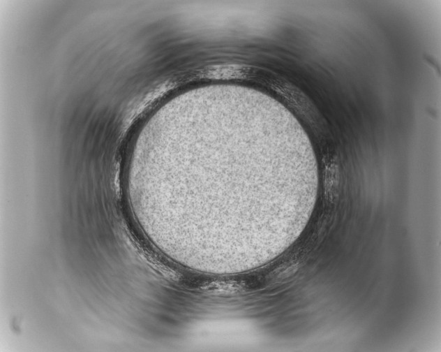 X0000102040727200808151406