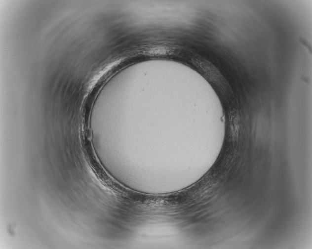 X0000102040728200808151406