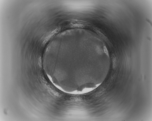 X0000102040729200808151406