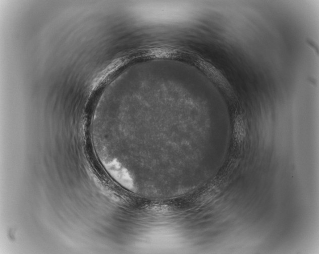 X0000102040730200808151406