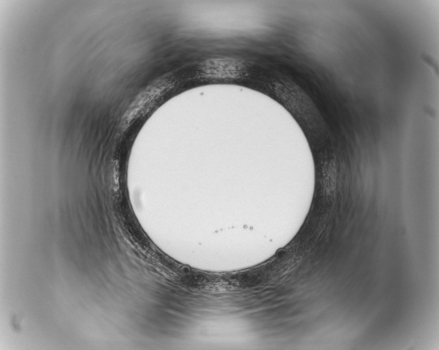 X0000102040731200808151406