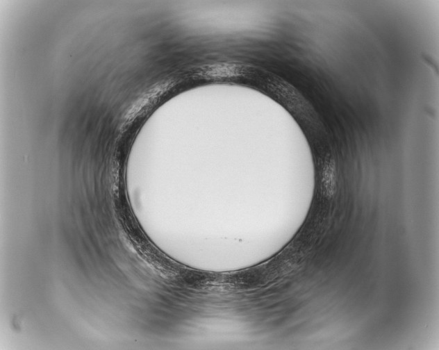 X0000102040732200808151406