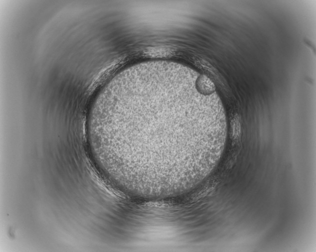 X0000102040733200808151406