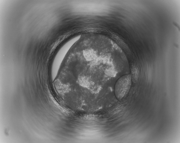 X0000102040734200808151406
