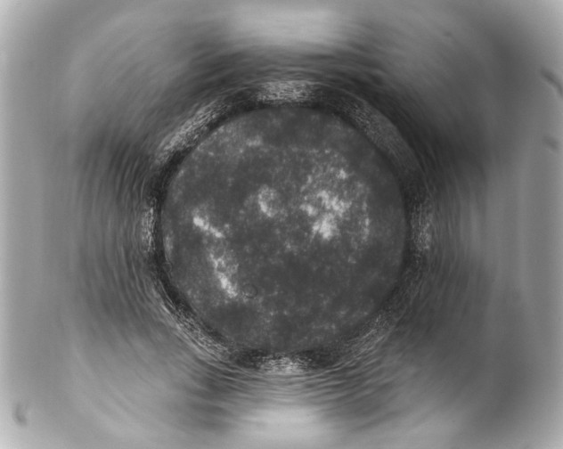 X0000102040735200808151406