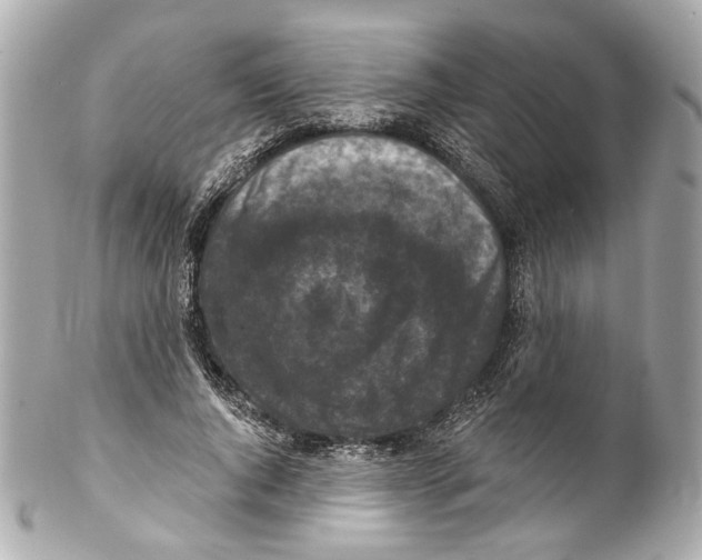 X0000102040736200808151406