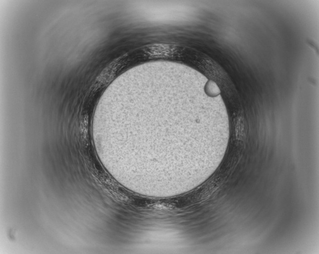 X0000102040737200808151406