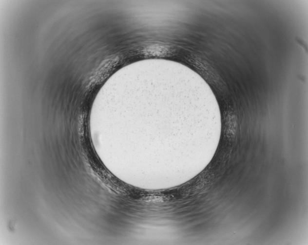 X0000102040738200808151406