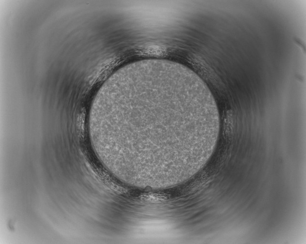 X0000102040739200808151406