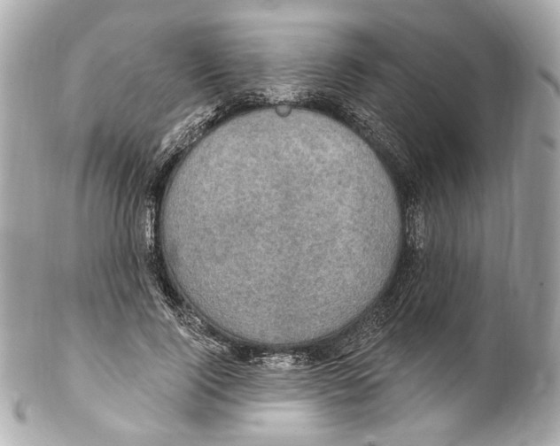 X0000102040740200808151406