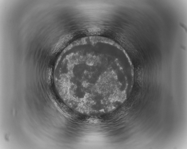 X0000102040742200808151406