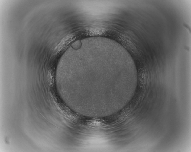 X0000102040743200808151406